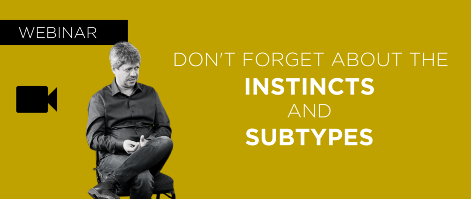 Don’t Forget About the Instincts & Subtypes