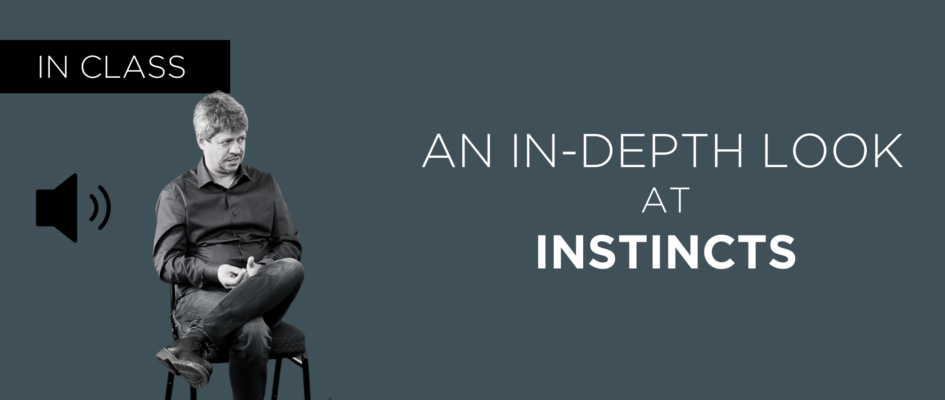 An In-Depth Look at the Instincts